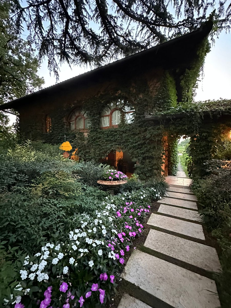 Stella_Sblen's tweet image. #noADV