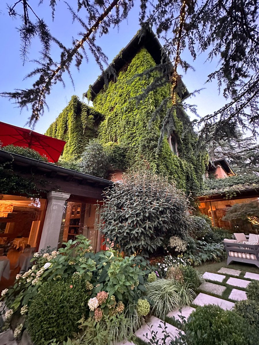 Stella_Sblen's tweet image. #noADV