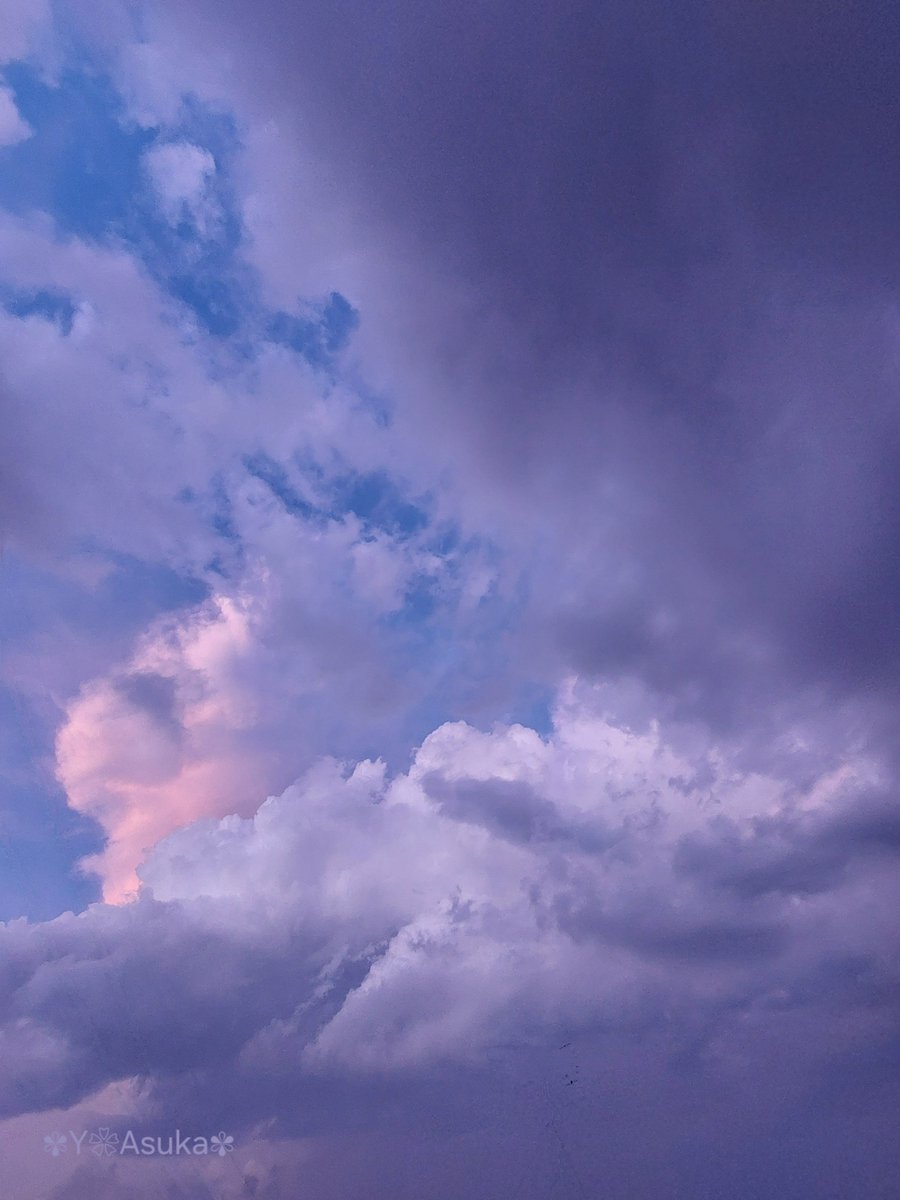 yumeasutw's tweet photo. 沸き立つ #積乱雲⛈️
北の空で夕日を浴びて
桃色に染まる積乱雲⛈️
見る見る発達して
頭頂部が #かなとこ雲 に
変化し始めています。
西の空は
どんより厚い雲に覆われています。
#夕空 #夕焼け #鉄塔 #電柱 #電線
#空の名前
#天気の図鑑 #雲の超図鑑
#空 #sky
#雲 #cloud
#a2024 #a0727 #a202407 https://t.co/26N9mDFstC