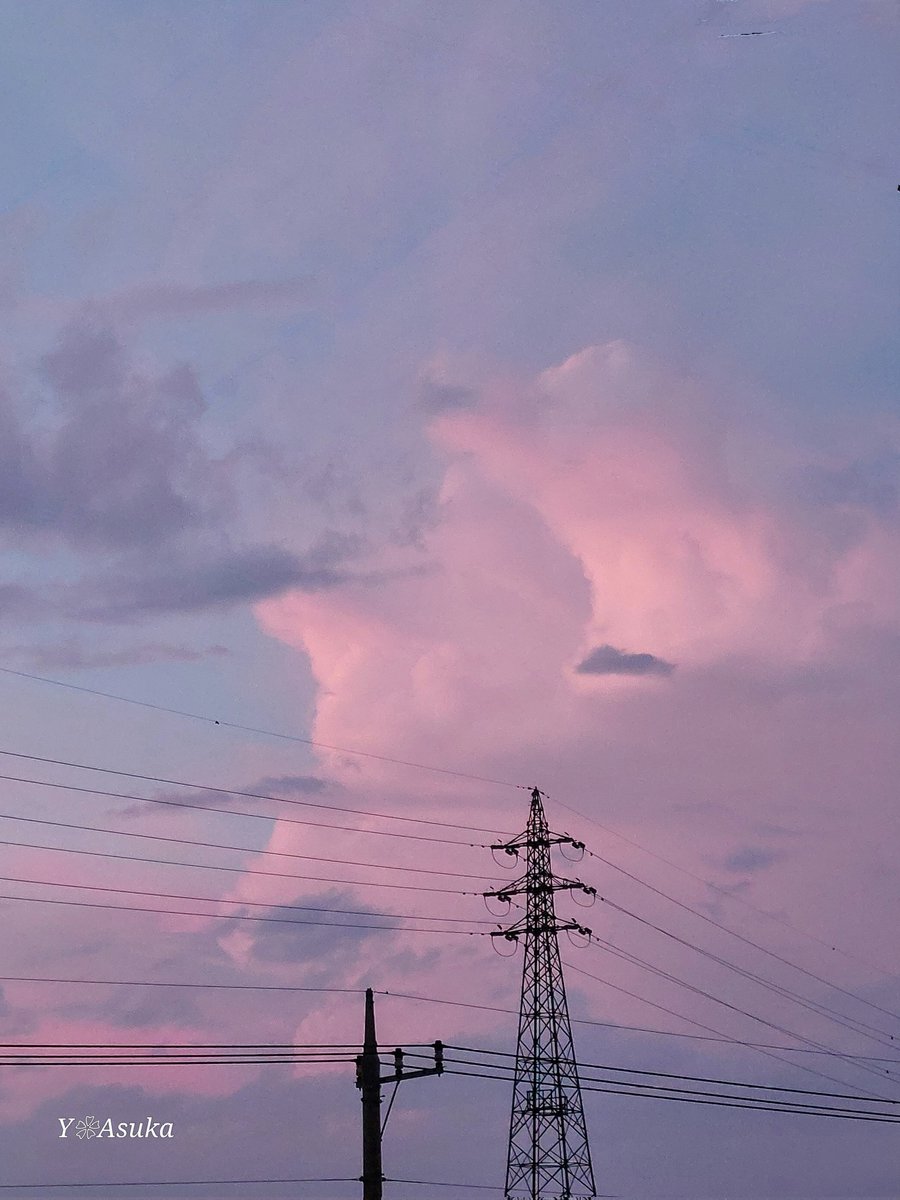 yumeasutw's tweet photo. 沸き立つ #積乱雲⛈️
北の空で夕日を浴びて
桃色に染まる積乱雲⛈️
見る見る発達して
頭頂部が #かなとこ雲 に
変化し始めています。
西の空は
どんより厚い雲に覆われています。
#夕空 #夕焼け #鉄塔 #電柱 #電線
#空の名前
#天気の図鑑 #雲の超図鑑
#空 #sky
#雲 #cloud
#a2024 #a0727 #a202407 https://t.co/26N9mDFstC