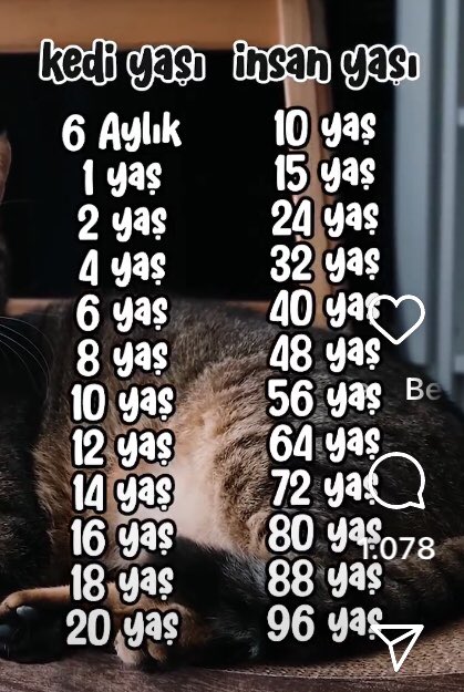 Uhaa admıç şekiş yaşımdaym elümü öbüp mamik ferin çabuk