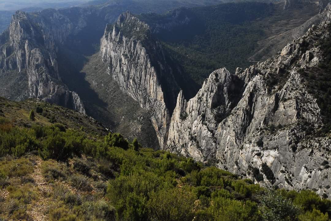 Eduardo Viñuales (@eduvinuales) on Twitter photo Nunca la Naturaleza de Teruel tuvo una amenaza tan grande como la construcción de megaparques renovables.
Me extraña que el <a href="/mitecogob/">Transición Ecológica y Reto Demográfico</a> y la sensible <a href="/Teresaribera/">Teresa Ribera</a>, hayan aprobado 20 parques eólicos en el Maestrazo con 125 aerogeneradores (70 en Natura 2000) ¿Qué presiones hay? Nunca la Naturaleza de Teruel tuvo una amenaza tan grande como la construcción de megaparques renovables.
Me extraña que el <a href="/mitecogob/">Transición Ecológica y Reto Demográfico</a> y la sensible <a href="/Teresaribera/">Teresa Ribera</a>, hayan aprobado 20 parques eólicos en el Maestrazo con 125 aerogeneradores (70 en Natura 2000) ¿Qué presiones hay?