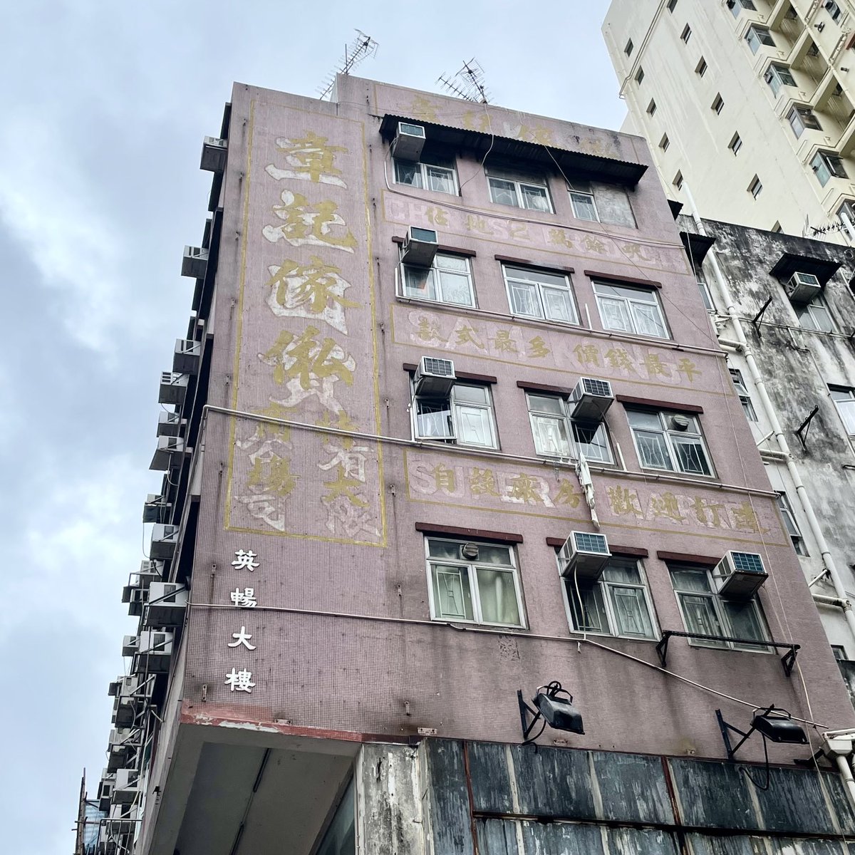 Zoë Chan tweet media