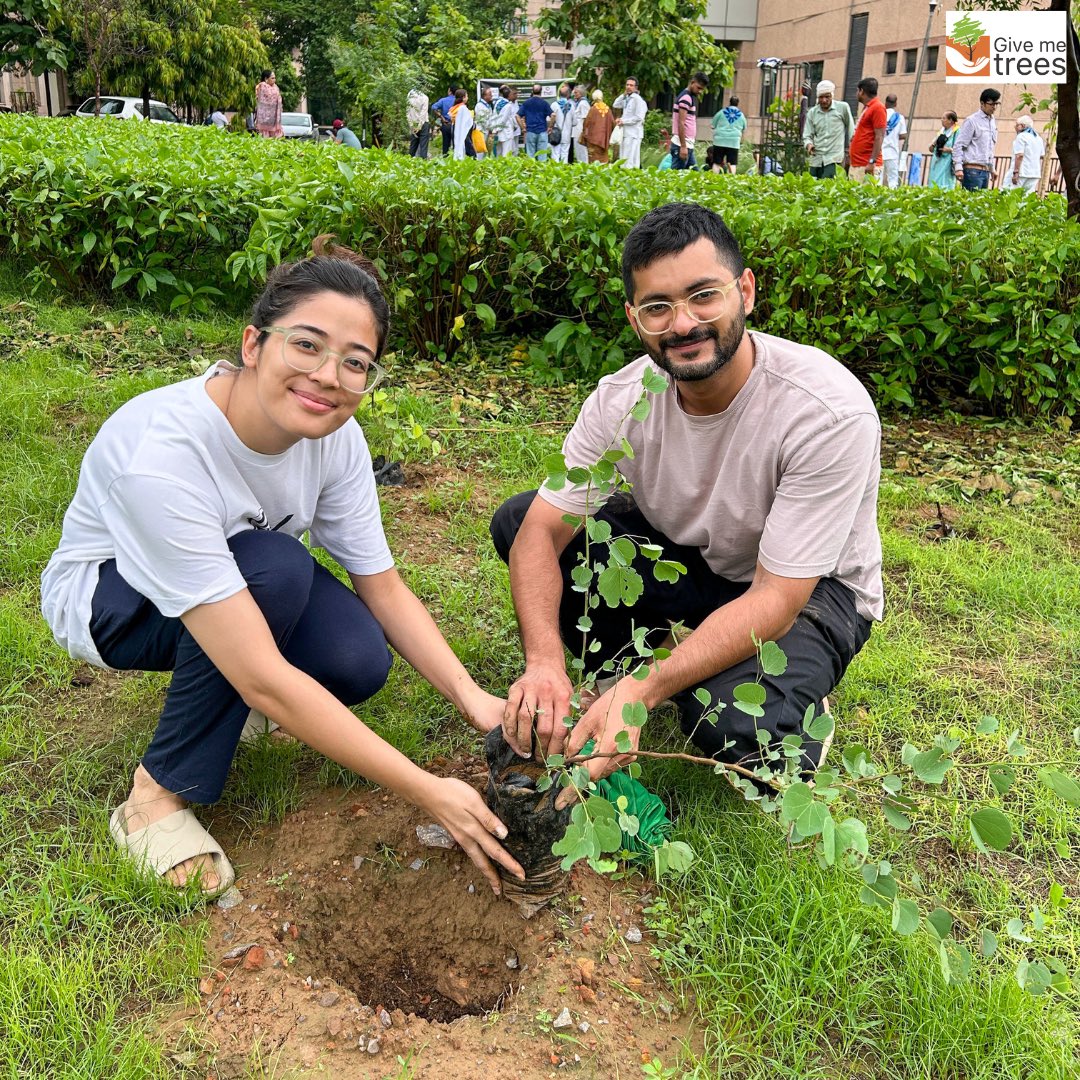 Give Me Trees Trust tweet media