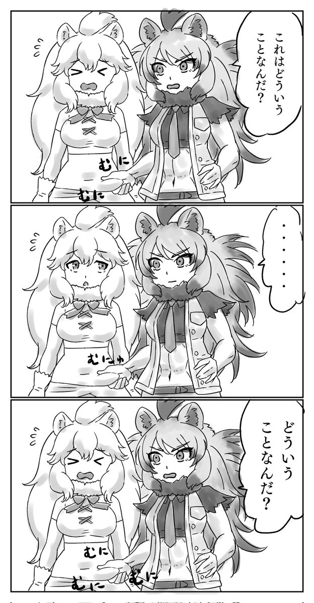 緊急3コマ
ケープライオン対ホワイトライオン 
