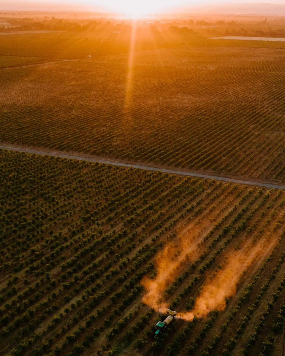 Visit Lodi! tweet media