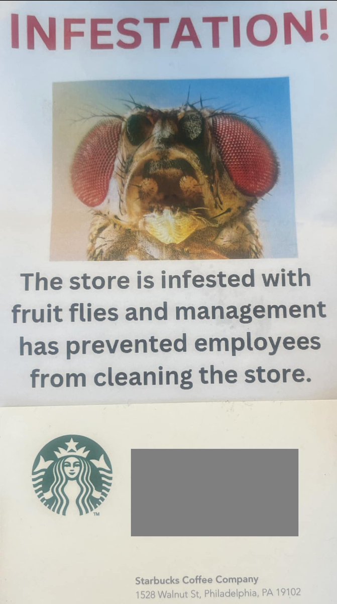 Perfect example of what organizational scholars might call positive deviance: the <a href="/Starbucks/">Starbucks</a> near me has a fruit fly infestation that's harming food safety, but the district and store managers won't do anything about it. So the employees are handing out cards to warn customers 💪