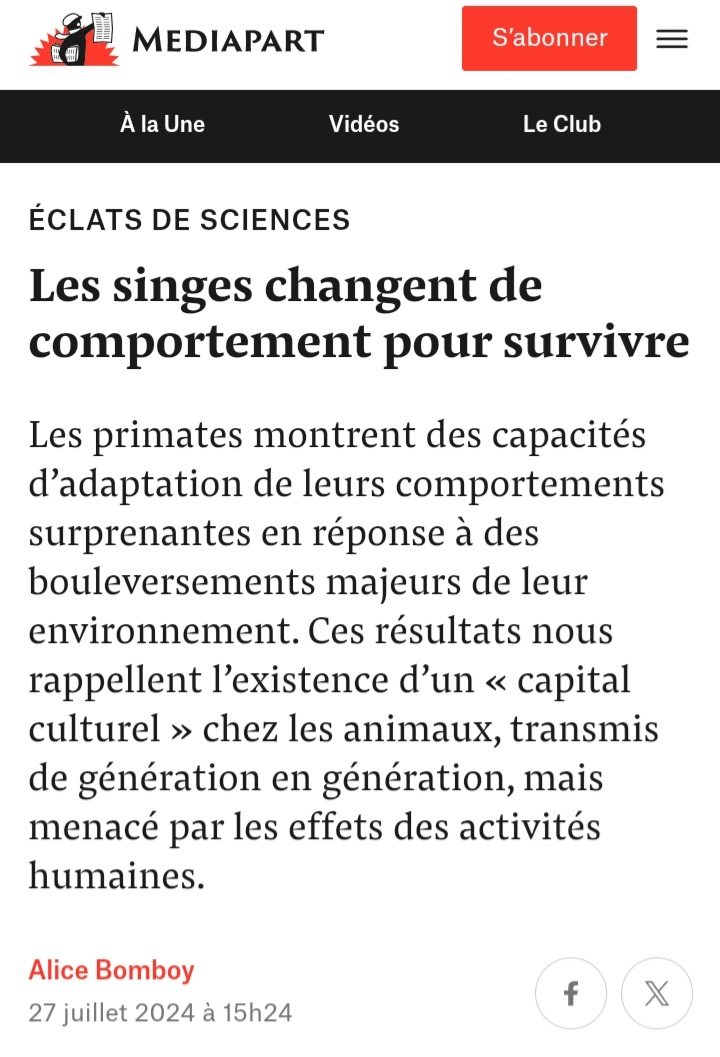 Cédric Sueur - Les Péripéties d'un primatologue (@cedricsueur) on Twitter photo Les singes changent de comportements pour survivre. Mon entretien par <a href="/alicebomboy/">Alice Bomboy</a> pour <a href="/Mediapart/">Mediapart</a> et avec <a href="/CamilleTestard/">Camille Testard</a> : mediapart.fr/journal/ecolog…
Et pour aller plus loin, les péripéties d’un primatologue aux Editions <a href="/OdileJacob/">Éditions Odile Jacob</a> : odilejacob.fr/catalogue/scie… Les singes changent de comportements pour survivre. Mon entretien par <a href="/alicebomboy/">Alice Bomboy</a> pour <a href="/Mediapart/">Mediapart</a> et avec <a href="/CamilleTestard/">Camille Testard</a> : mediapart.fr/journal/ecolog…
Et pour aller plus loin, les péripéties d’un primatologue aux Editions <a href="/OdileJacob/">Éditions Odile Jacob</a> : odilejacob.fr/catalogue/scie…