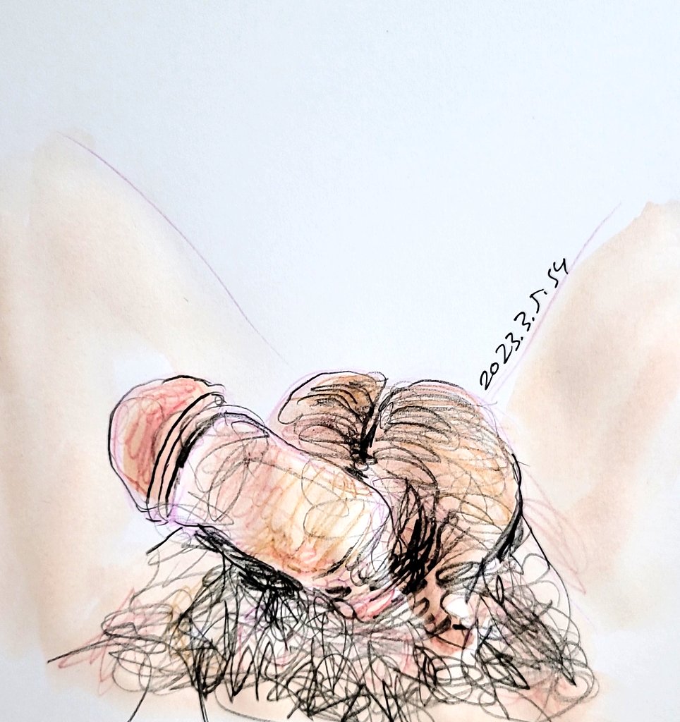 발기전 늘어진 자연스러운 모습의 좆상화 의뢰자 사진이다. 귀두가 벌써부터 빵빵해서 풀로 발기가 되면 귀두가 얼마나 두껍게 부풀어 오를지 기대되는 좆이다. 부랄도 크고 푸짐해서 섹스할때 만지기에 좋을것 같다. #섹트 #좆상화 #자지초상화