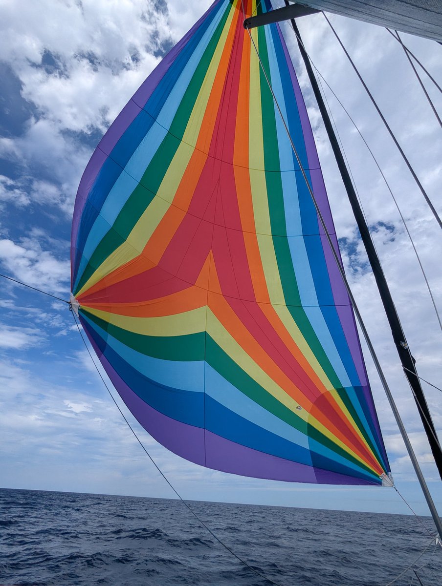 Finally in a steadier breeze after several hundred miles in light and highly variable air