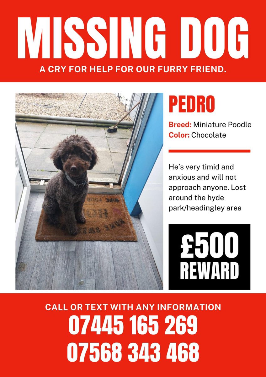 Anyone in Leeds Hyde park area please keep a look out 

#missingdog #leeds #hydeparkleeds #hydepark #headingley