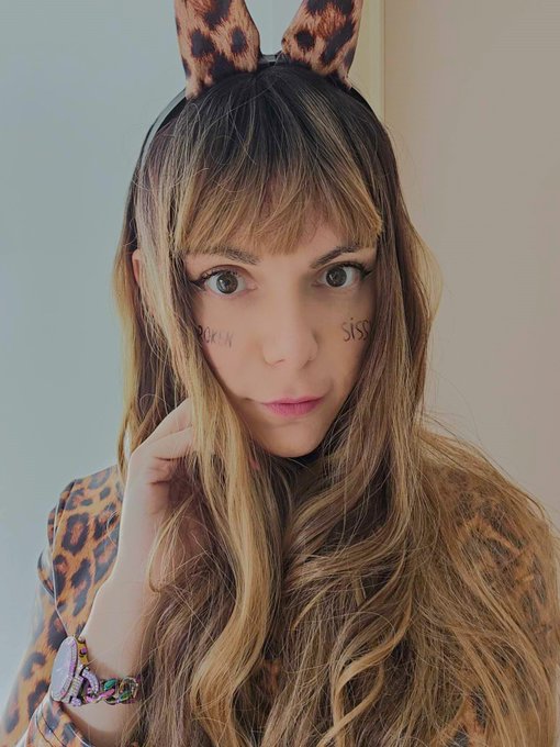 👋RAWRRRRRRRRRRRRRR👋 I am indeed looking for a Master... You might be wondering why it is taking so long<a href="/tag/mvsales"class="tags"><span>#mvsales</span></a>