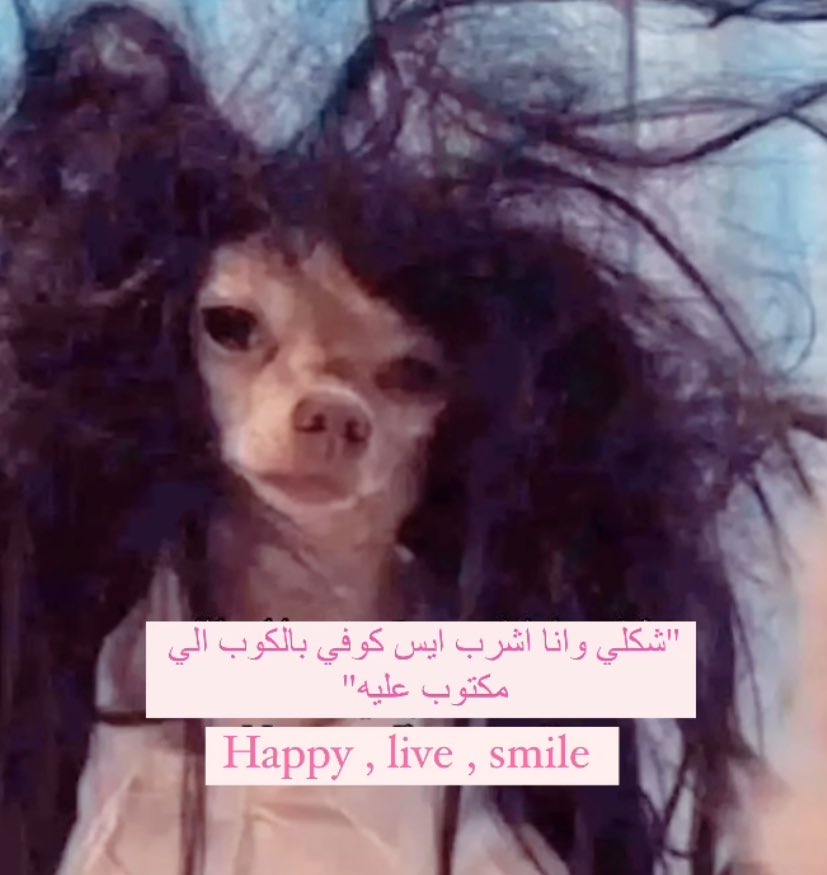 Arab Memes (@arabmemesss) on Twitter photo 