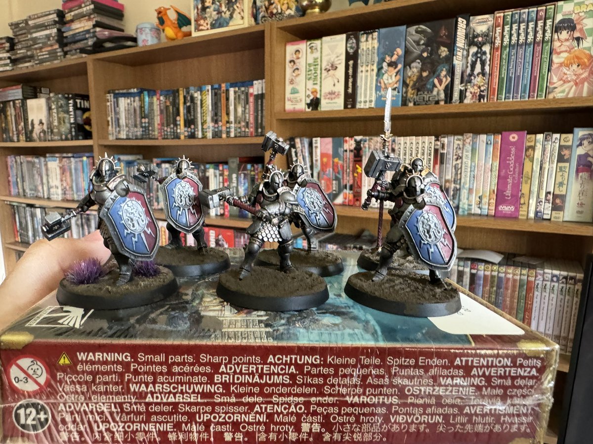 Just some stormcast to start my AoS adventure.