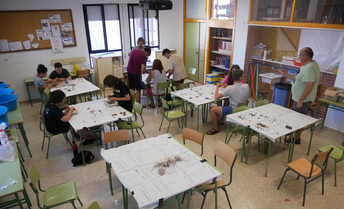 Día 5 en #SimaPalomas2024
Por las tardes y hasta casi la hora de cenar, en el laboratorio de campo de Dolores de Pacheco, trabajos de inventario y clasificación tanto de los restos excavados in situ en el yacimiento como de los recuperados en la criba.