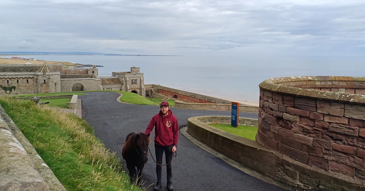 Where the sky meets the sea! 🌫️🌊
We were at beautiful @Bamburgh_Castle today. Marley's eaten his own weight in grass, been groomed, walked, photographed, &amp; made hootprints with the  children. So many families commented on his calm nature &amp; healthy condition, which was lovely! &lt;3