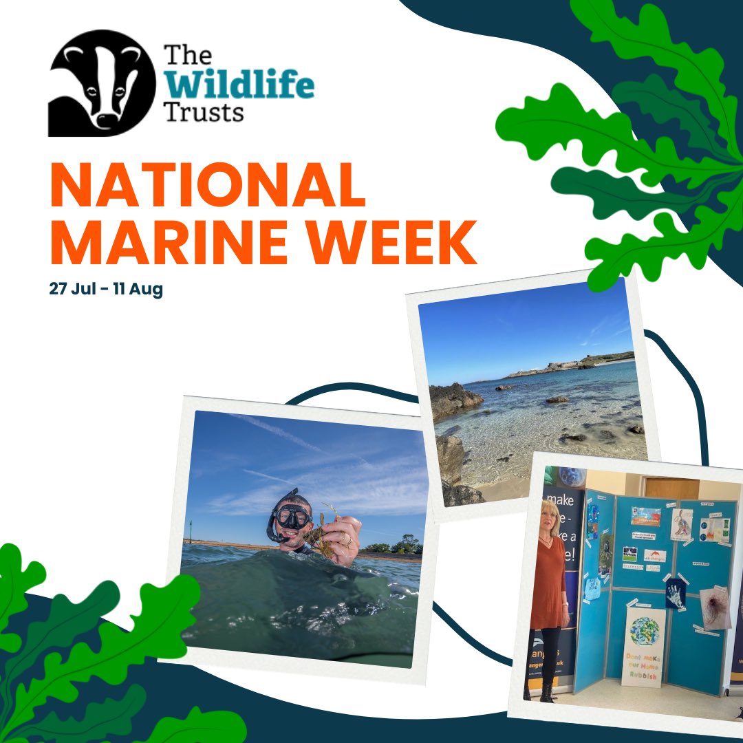 Sea-Changers (@beaseachanger) on Twitter photo 🐟 The <a href="/WildlifeTrusts/">The Wildlife Trusts</a> Wildlife #NationalMarineWeek 2024 kicks off today! 🦀
Here are our top 5 reasons to get involved:
1. Protect Biodiversity
2. Learn and Discover
3. Support Local Conservation
4. Engage with Your Community
5. Inspire Future Generations
#BeASeaChanger 🐟 The <a href="/WildlifeTrusts/">The Wildlife Trusts</a> Wildlife #NationalMarineWeek 2024 kicks off today! 🦀
Here are our top 5 reasons to get involved:
1. Protect Biodiversity
2. Learn and Discover
3. Support Local Conservation
4. Engage with Your Community
5. Inspire Future Generations
#BeASeaChanger