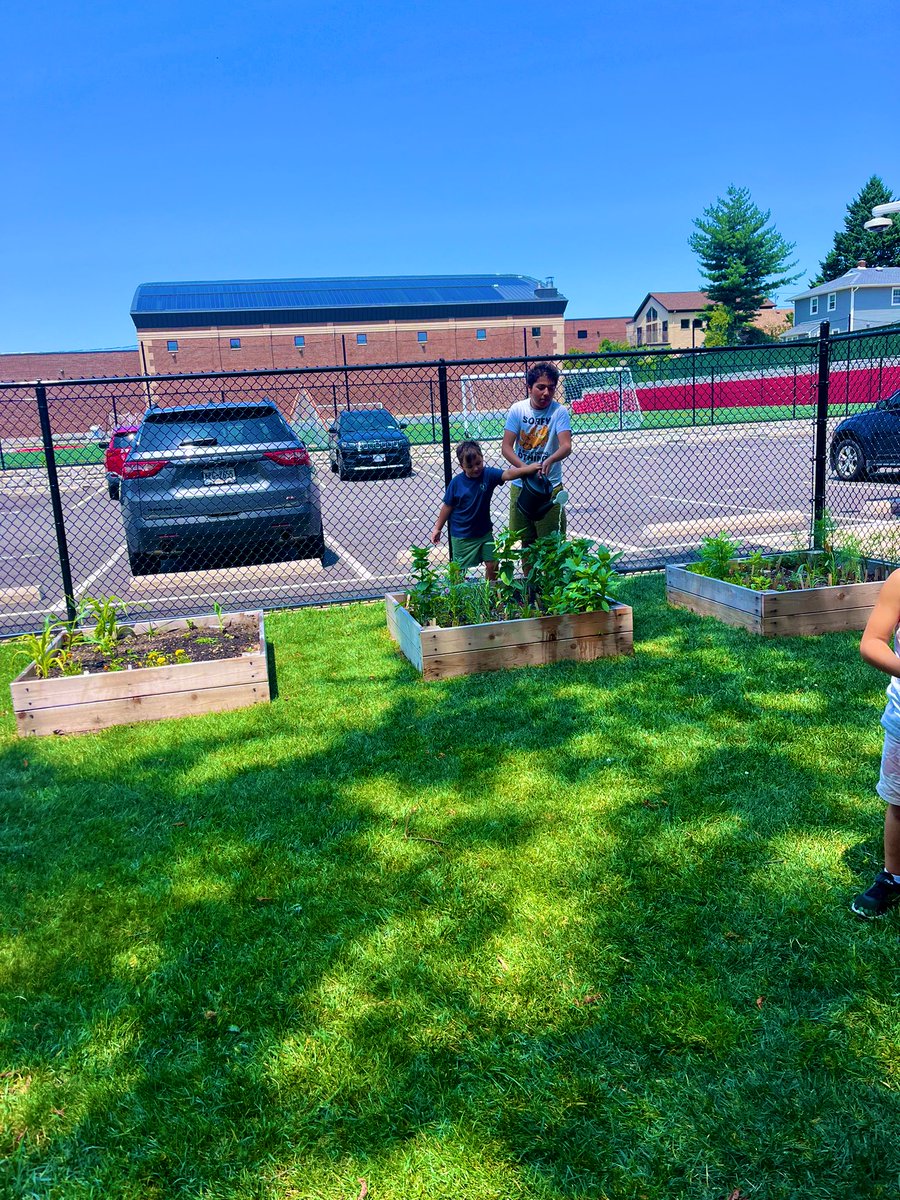 Growing together in the garden☀️ <a href="/Ms_Sferrazza/">Gabby Sferrazza</a>