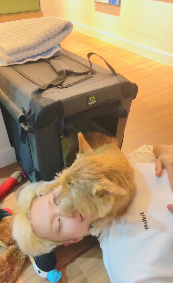 6l5uv's tweet photo. 세수시키기 https://t.co/qRSW1Ub9UC