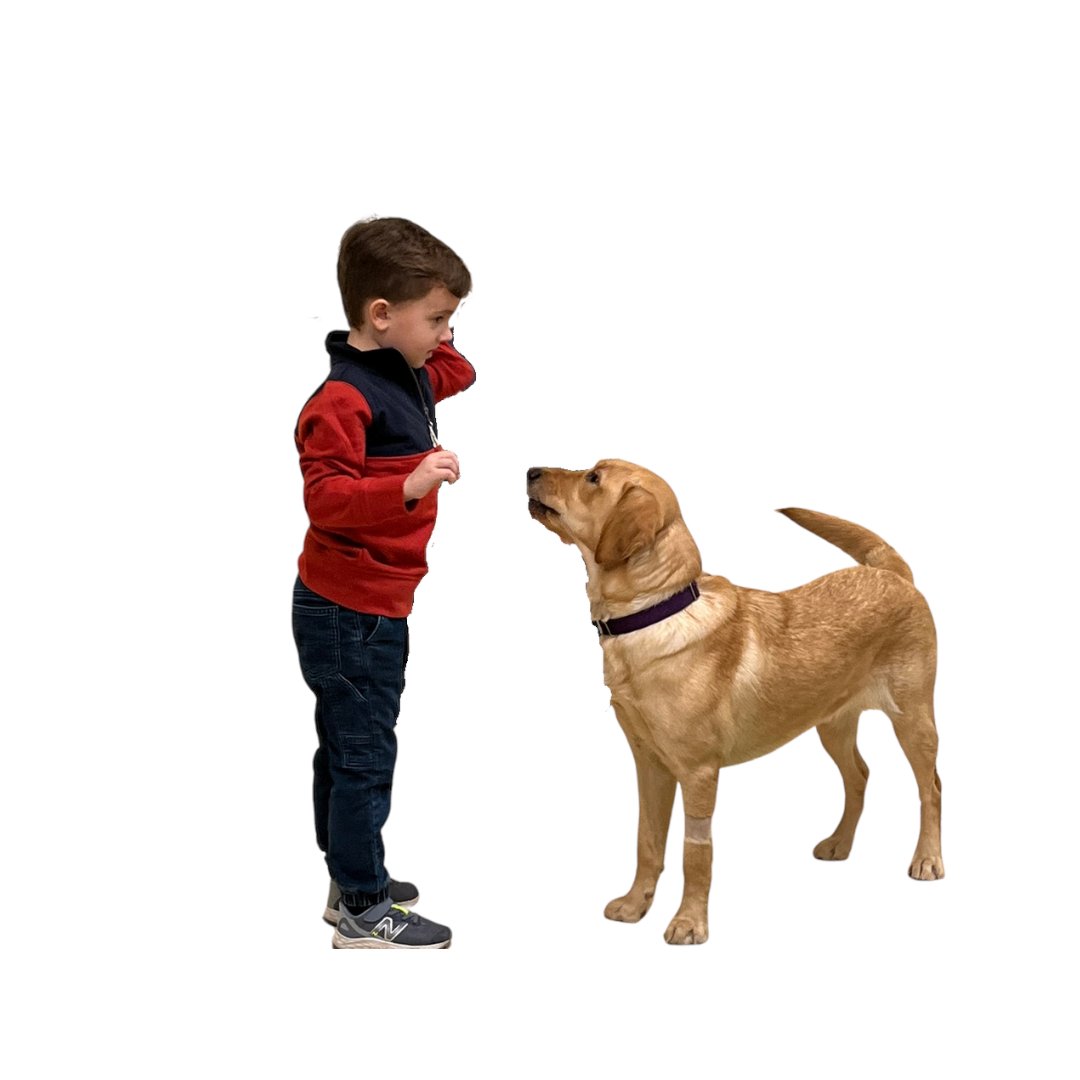 Okay...we just have to tell you more about #brothers Mikey and Charlie Gaylor, but first, there are only 3 days left to fill out the SUPER special survey!!! Have you filled out yours yet?!

tfaforms.com/5131200