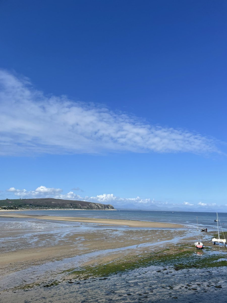 Kate Collins 🦋 @katecollinsuk.bsky.social tweet media