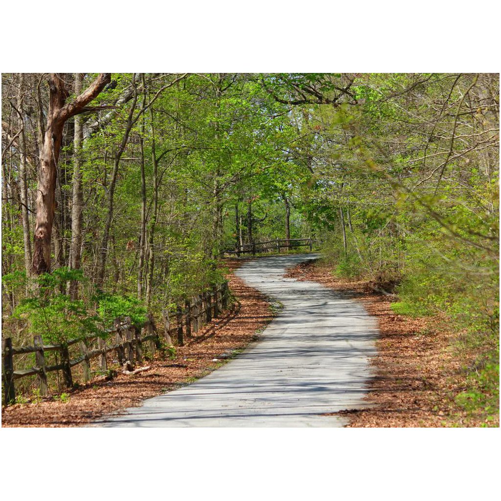 NateHartPrints's tweet image. 🌿 Bring serenity to your space with our Nature Path prints. Perfect for a peaceful atmosphere! 🌳 Shop now --&amp;gt; printsbynatehart.com/collections/la…

#NaturePath #HomeDecor