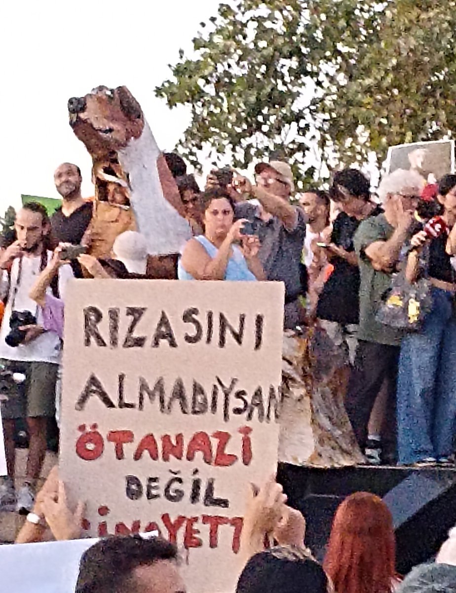 #YasaDeğilCinayet 
#Yasayıge