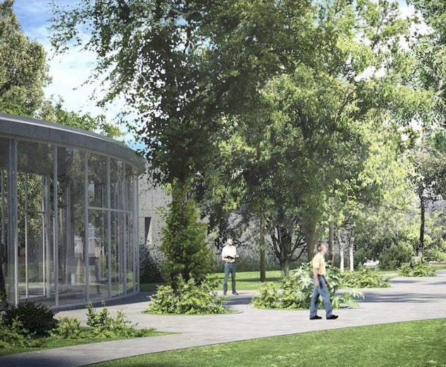 Zopilote Rey tweet media