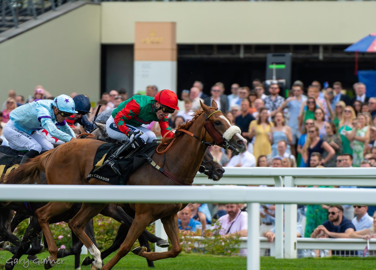 talesoftheturf's tweet image. A well deserved victory for Northern Express #Ascot @PMulrennan @mdodsracing