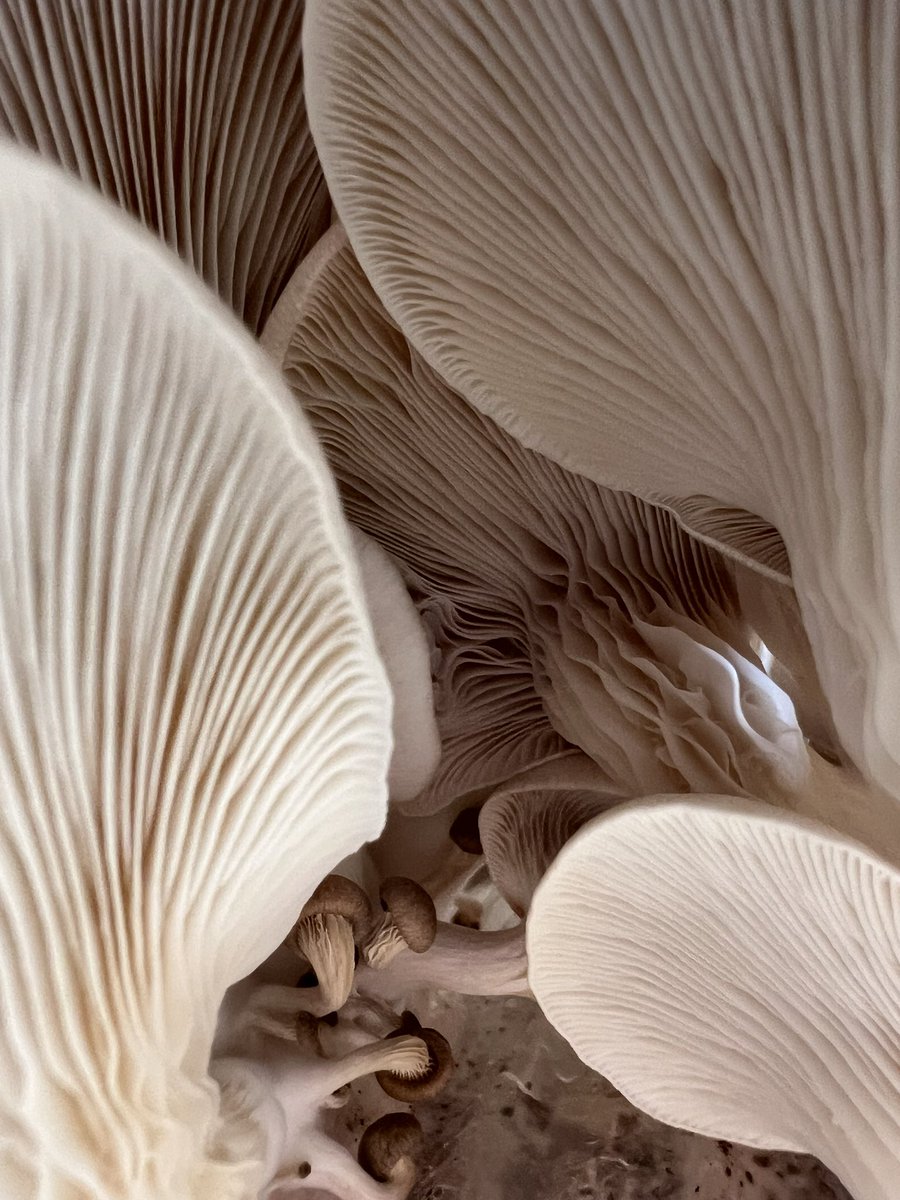 Stephan Brusche tweet media