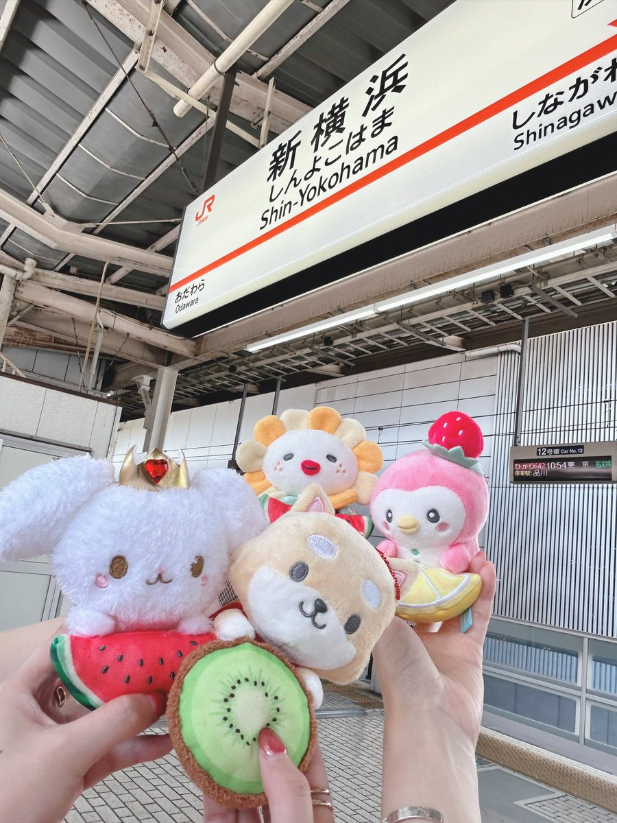 1ai17nn7's tweet photo. いっぱい幸せもらった🩷
大変なこと続きやけど、今日は全部忘れて本気で楽しめた！🥺
11人ずっと幸せでいて！
JO1ありがとう！JAMありがとう！🫶🏻

#JAM感謝祭_SUMMERFESTIVAL
#JO1 https://t.co/AbBQbQFhTE