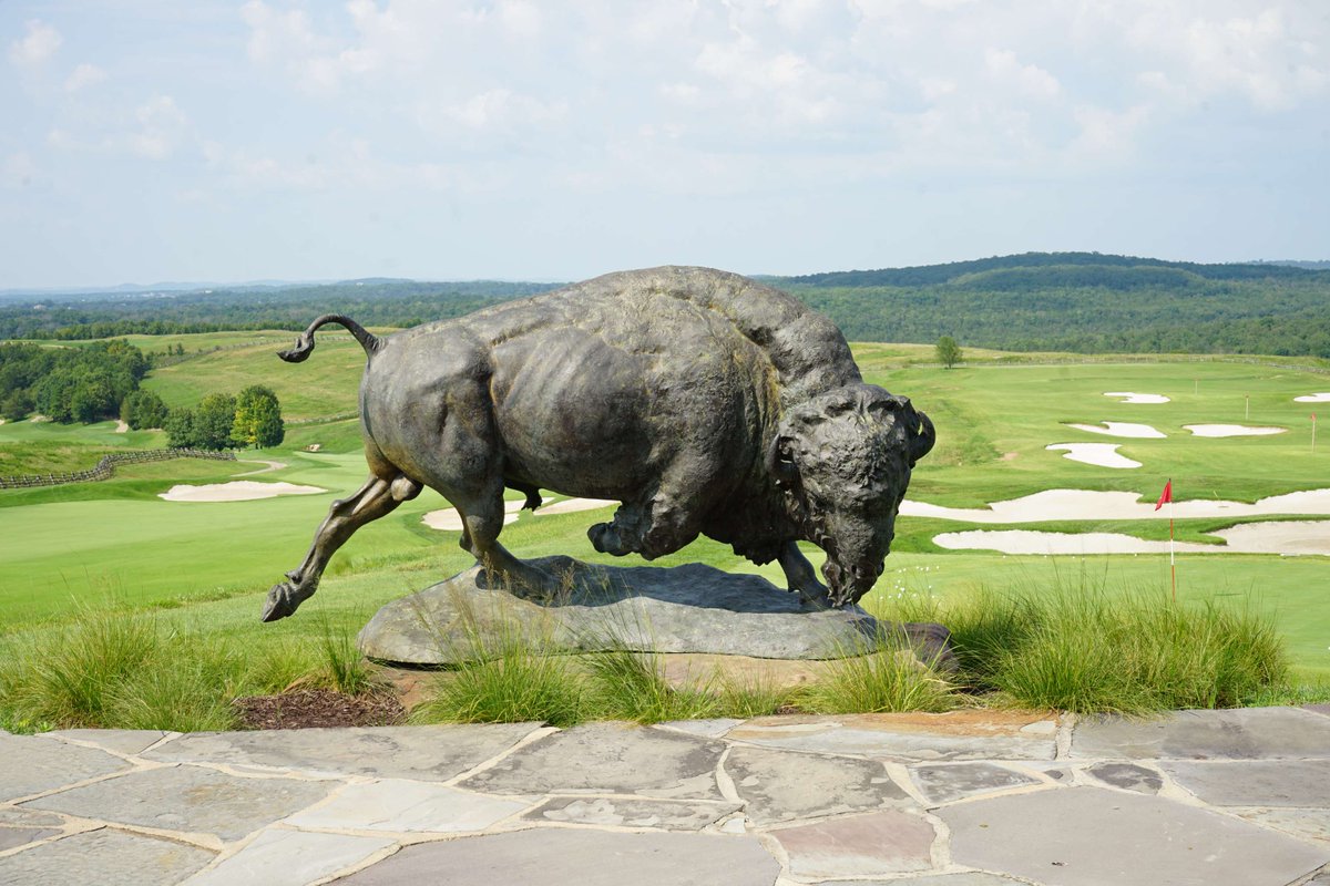 AJGAGolf's tweet photo. Celebrating a decade of success  🎆

We are proud to welcome you to Buffalo Ridge Golf Course for the #PayneStewartJr! https://t.co/ueQLLm4dLR