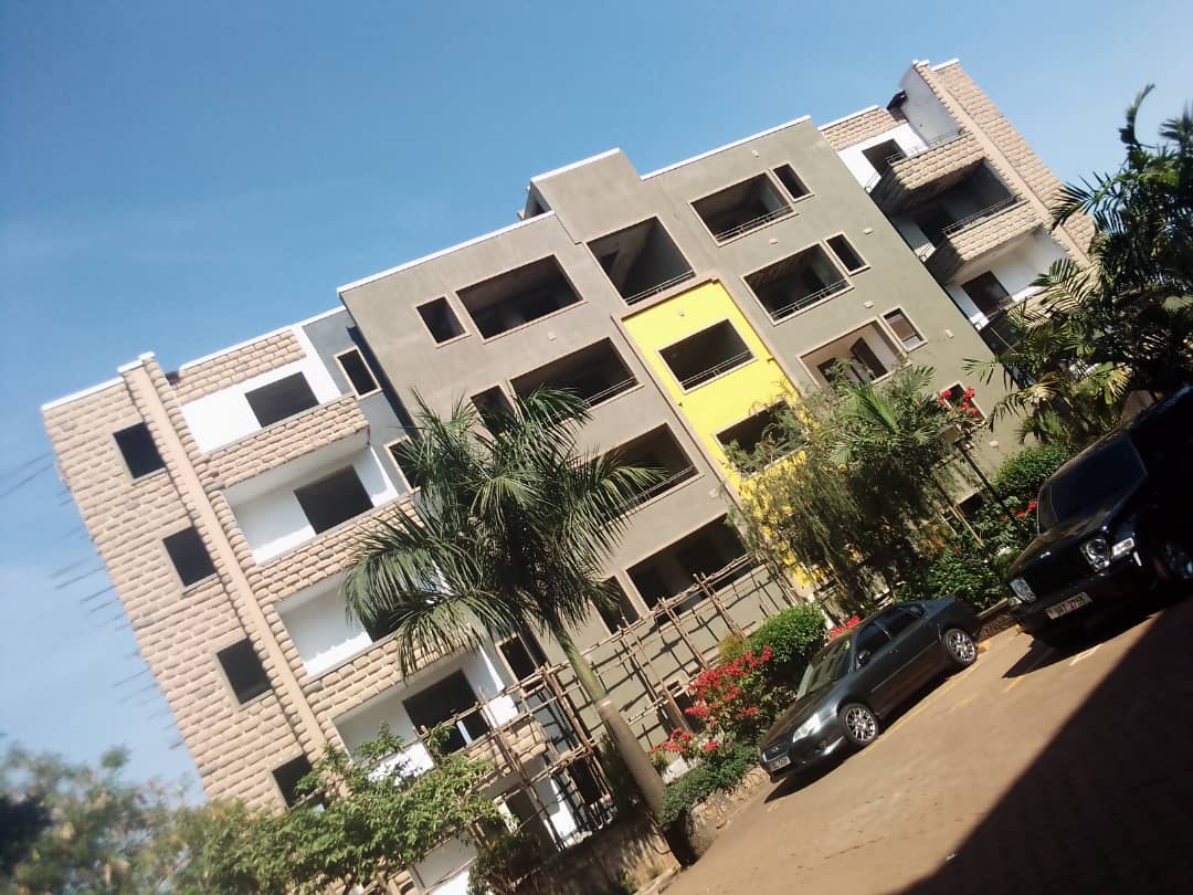 Adit Construction tweet media