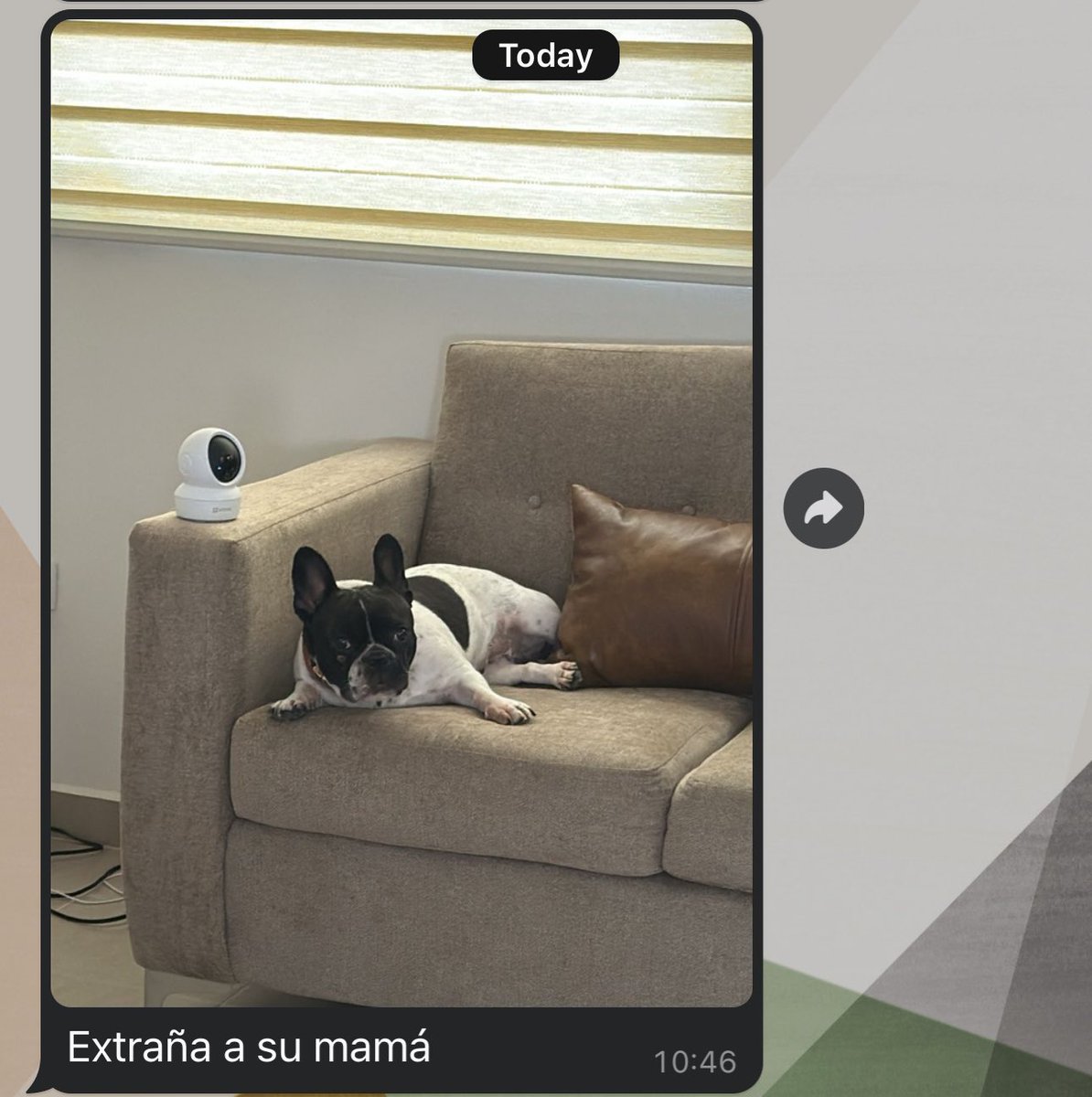Una semana fuera de casa y automáticamente Ale: