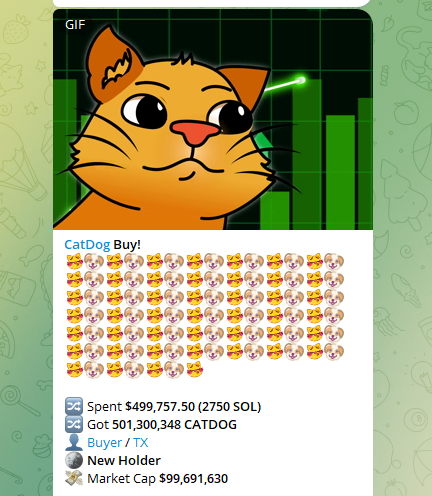 $500,000 $CATDOG Buy
