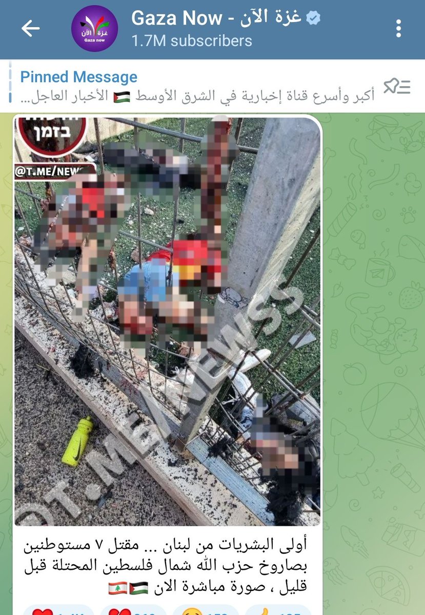 Hezbollah rocket hit children's soccer game in northern Israel, killing 7 children and injuring many.

Popular Palestinian Telegram channel posted photo of dismembered children (which I blurred), announcing that “7 settlers were killed” 👇
Hundreds in comments celebrated it.