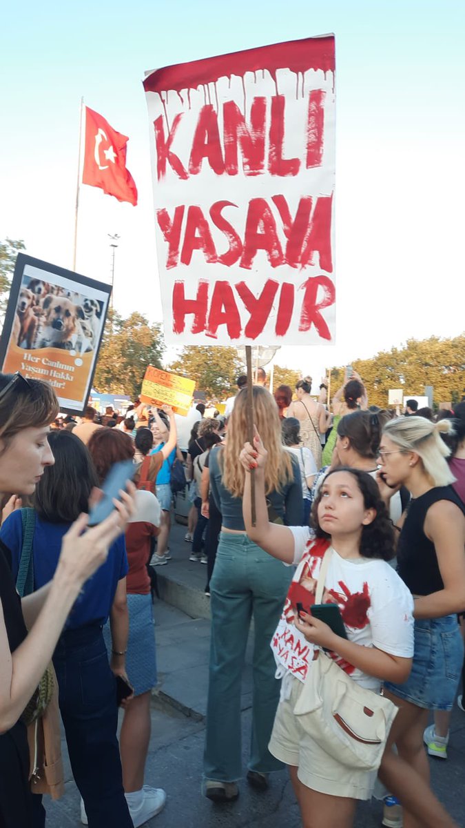 BanuFotocan's tweet photo. #YasayiGeriCek #SokaktayimYanindayim https://t.co/TGk9NMW9fE