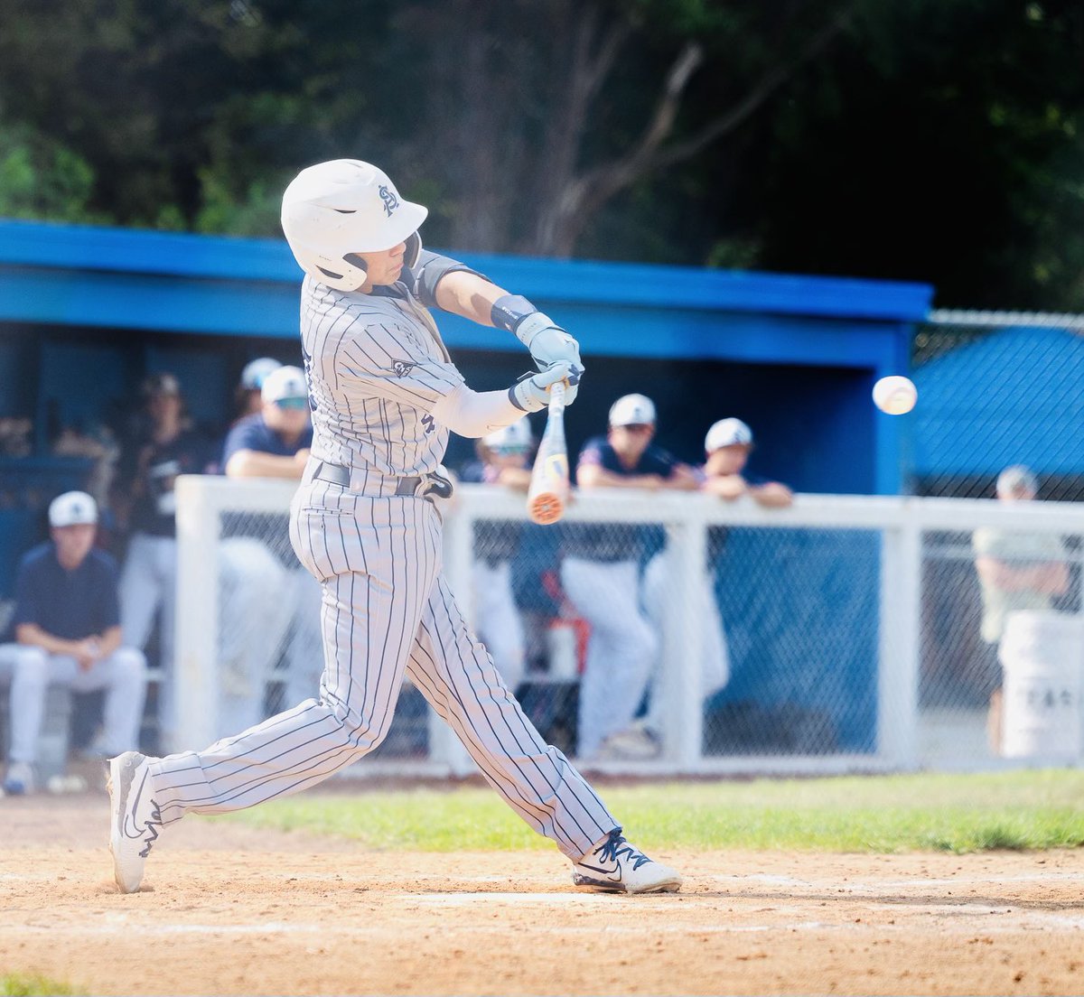 Jennifer A. Carnes tweet media