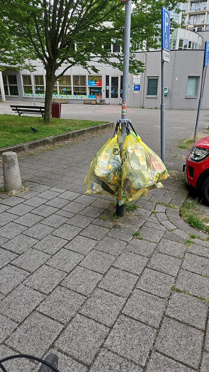 hans berrevoets tweet media