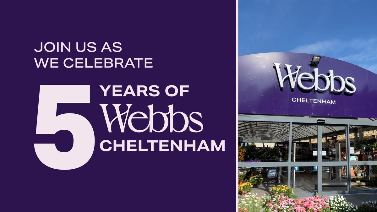 Join us for Webbs Cheltenham's 5th-anniversary event in two weeks! 

Enjoy local food, live demos, exclusive offers, and free prosecco and cupcakes. 🥂

The celebrations will take place on Sat 10th and Sun 11th of Aug. 

Find out more here  - webbsdirect.co.uk/cheltenhamanni…