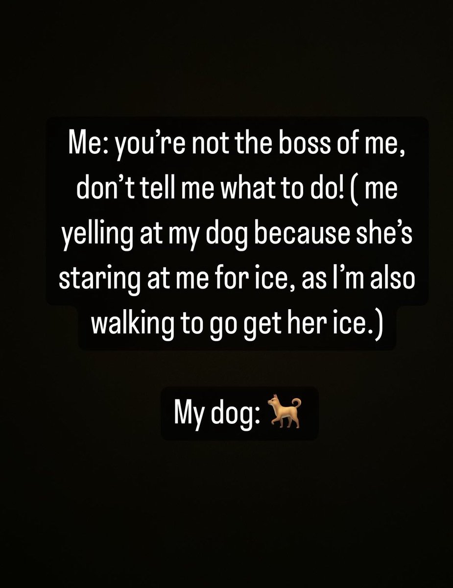 lexially's tweet image. 