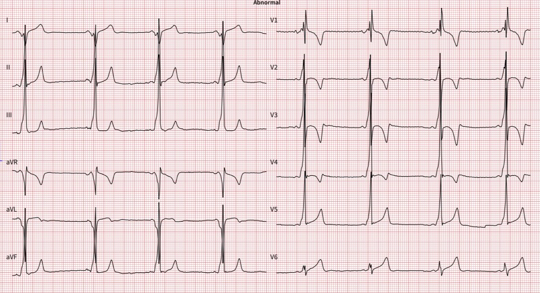Andreas Müssigbrodt tweet media