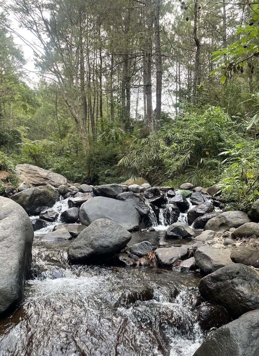 Nang bedengan komkom , assalamuallaikum.