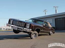 Joey Jo-Jo tweet media