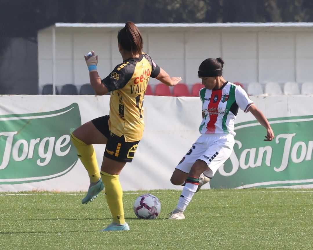 WinStatsEc's tweet image. 📊⚽️🔥 #DatoWinstats |  FT (PAL 4-1 COQ)

👉Primera vez en el año que Coquimbo recibe 4 goles.

👉Segunda vez en el año que Palestino marca 4 goles. Además, corta su peor racha del año sin triunfos (6 partidos).

#CampeonatoNacional 🇨🇱