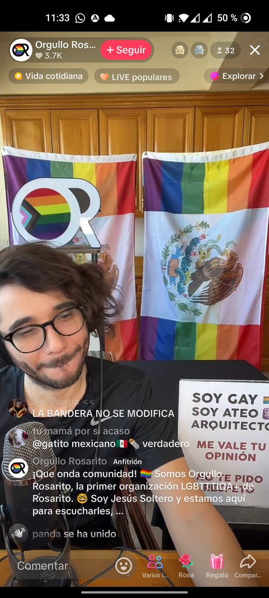 No me gusta esto pero este man modifico la bandera De México lo cual esta estrictamente prohibido por la constitución