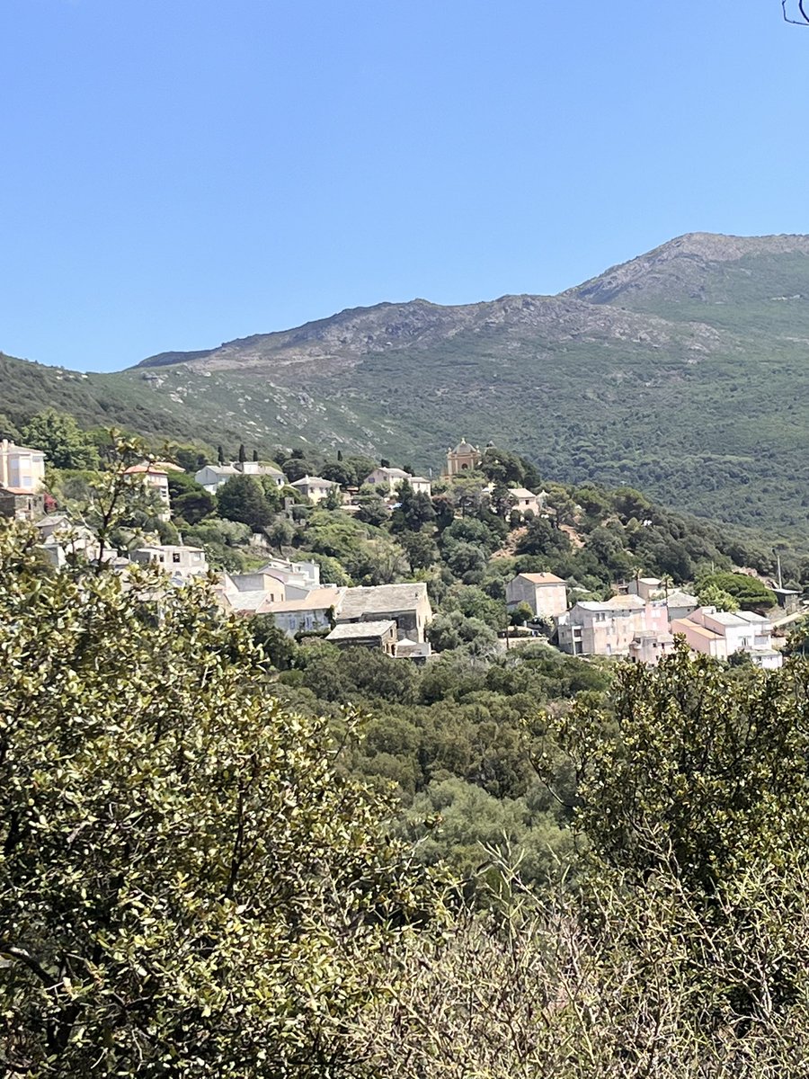 ALSantucci's tweet photo. À fiancu à i Barrettalesi pè benedisce a chjesa San Pantaleone. Messa detta da u Cardinale Bustillo.
A ringrazià u mere pè stu travagliu fattu incù u sustegnu maiò di @IsulaCorsica.
#CULTURA #PATRIMONIU #CAPICORSU https://t.co/5Bd9mUuHr8