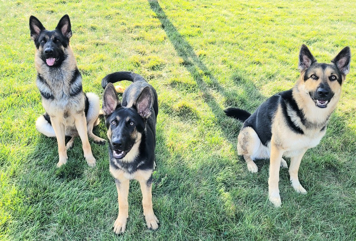 If anyone is wondering what is occupying my time in the summer.....here it is!