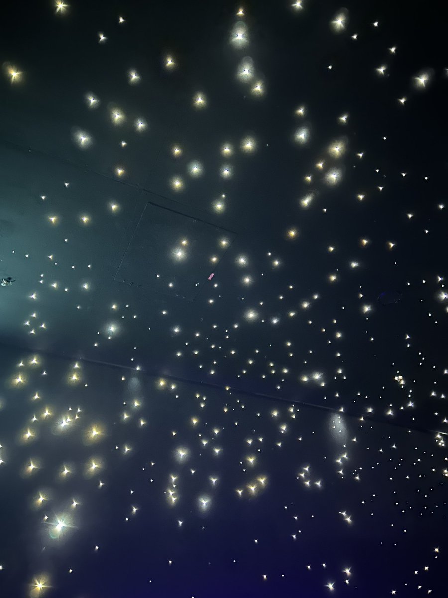 plantskid's tweet image. hi guys, this is what i've been up to btw