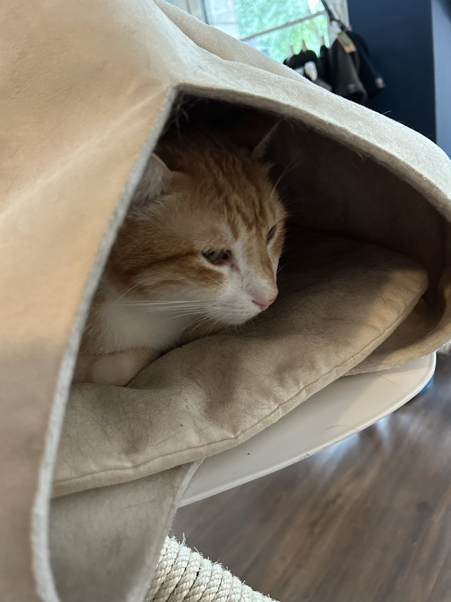 plantskid's tweet image. hi guys, this is what i've been up to btw